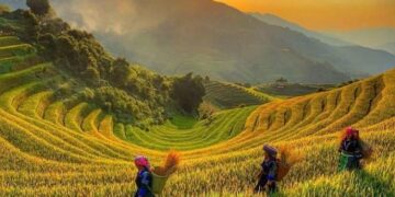 Ha Giang Adventure: A Journey Through Time and Culture